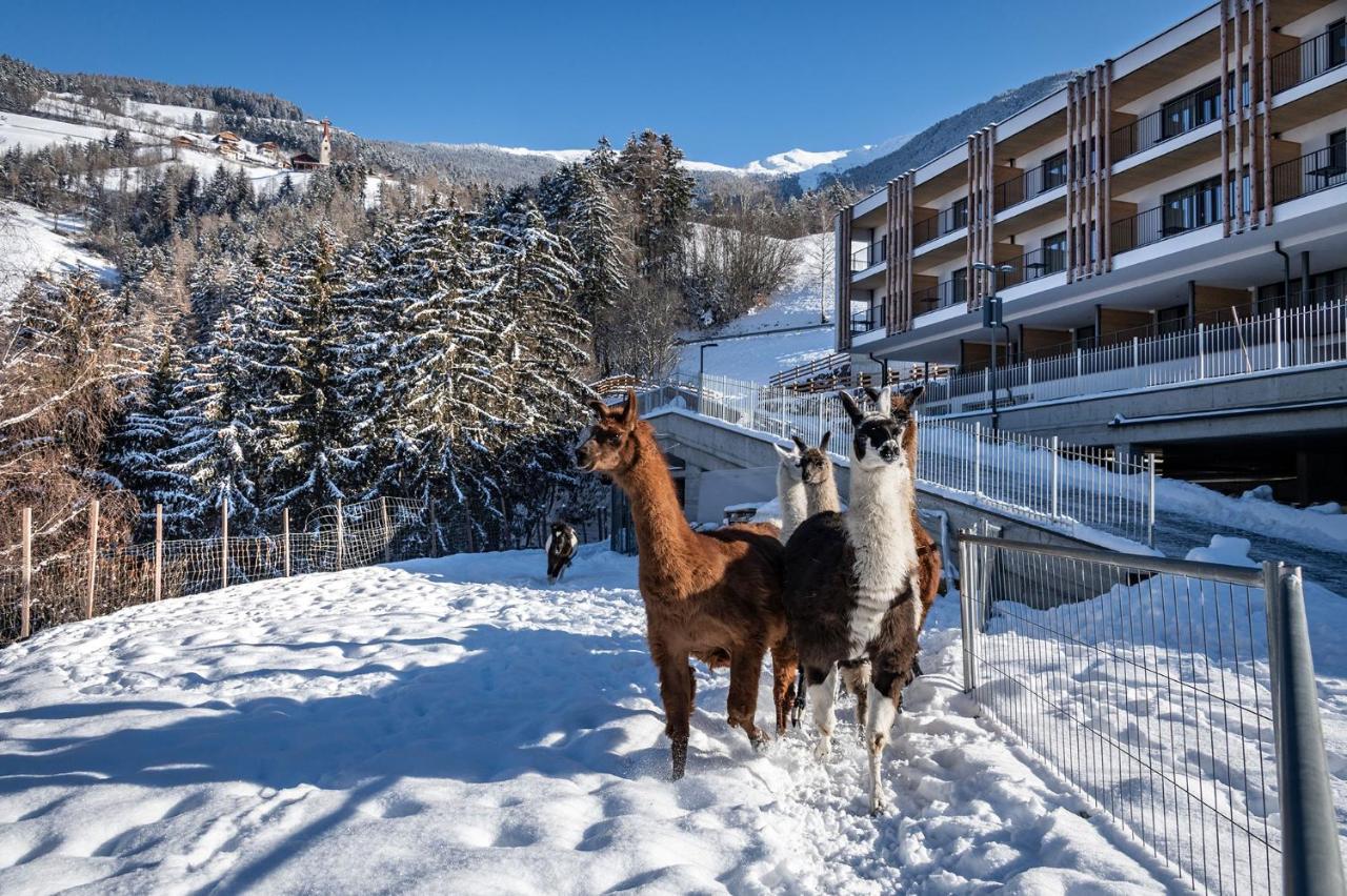 Hotel Torgglerhof بريسّانوني المظهر الخارجي الصورة
