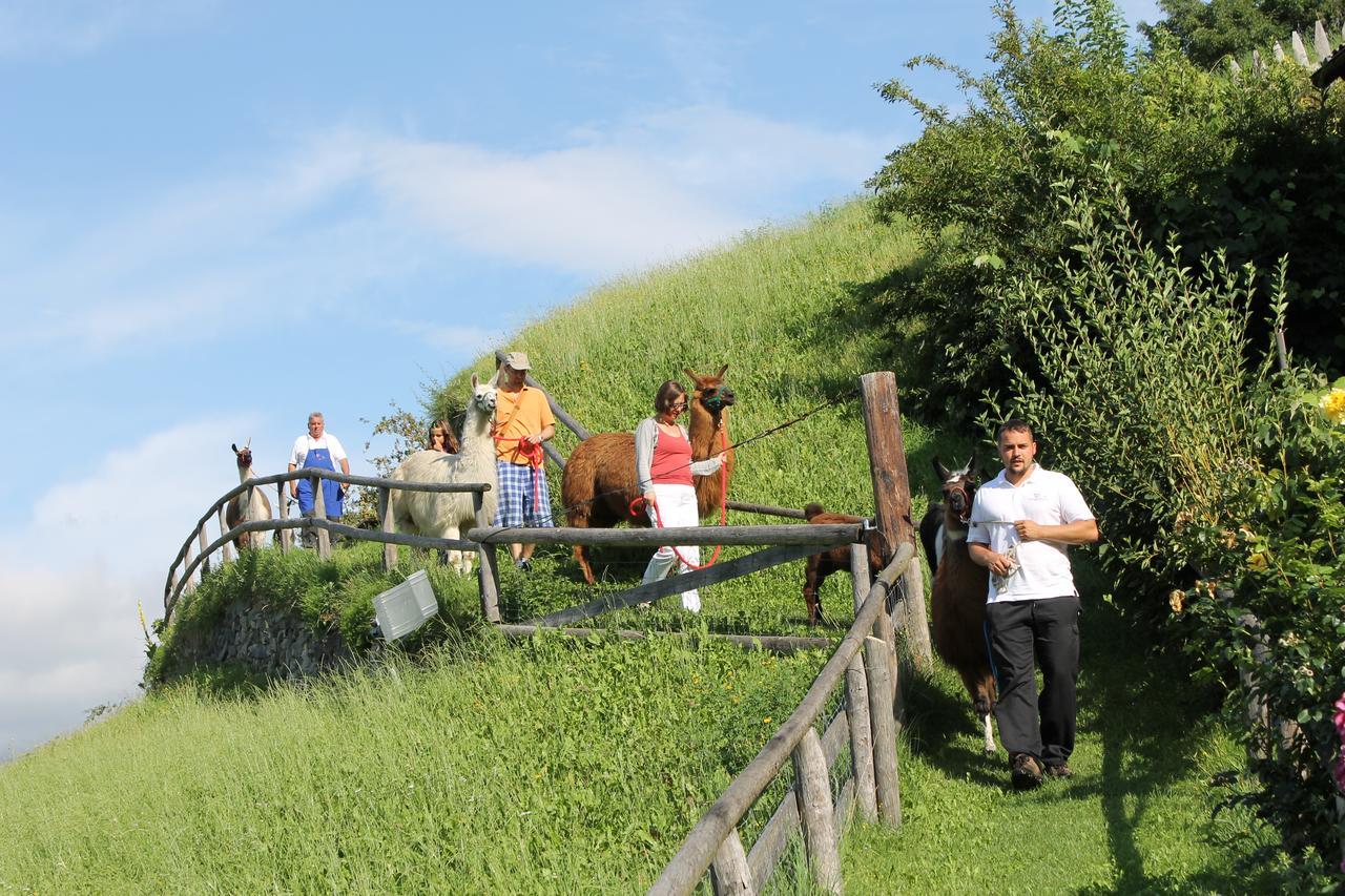 Hotel Torgglerhof بريسّانوني المظهر الخارجي الصورة